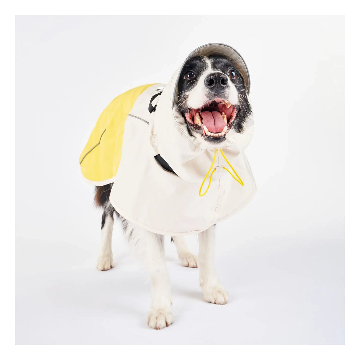 The Furry Folks - Venture Raincoat | Yellow
