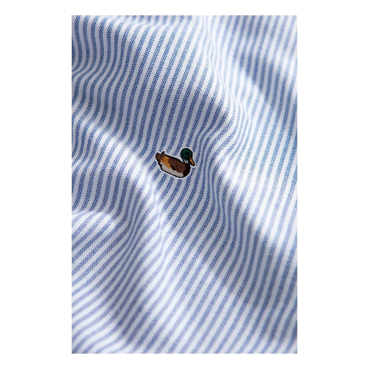 Edmmond Studios - Duck Striped T-Shirt | Light Blue