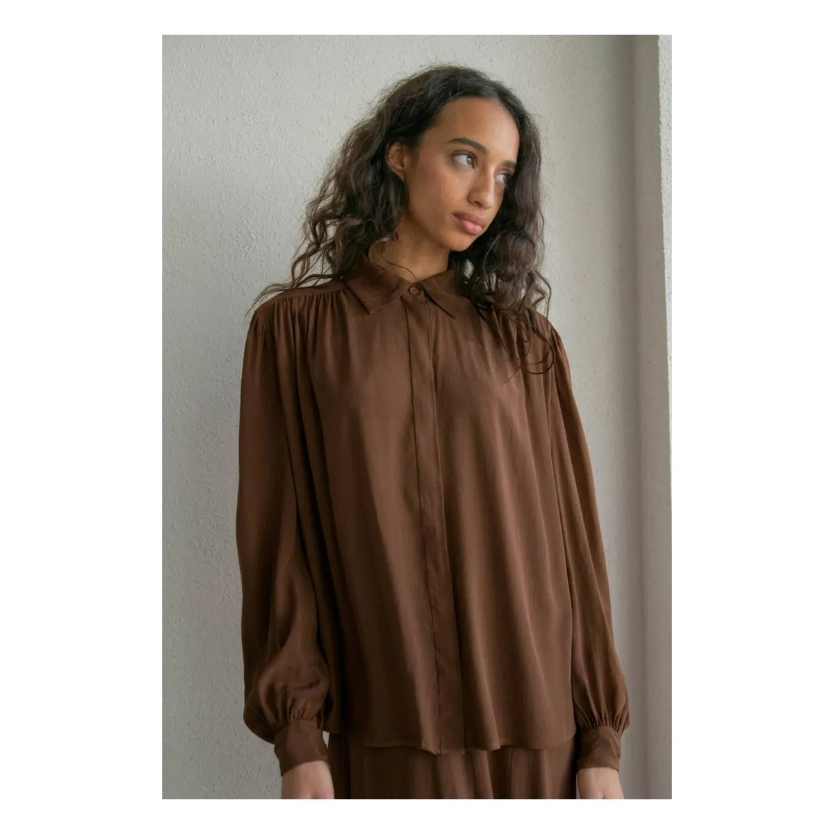 THEAVANT - Dama Silk Blouse | Brown