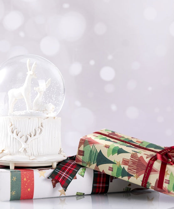 Dinossi Hediye Kartı-Dinossi