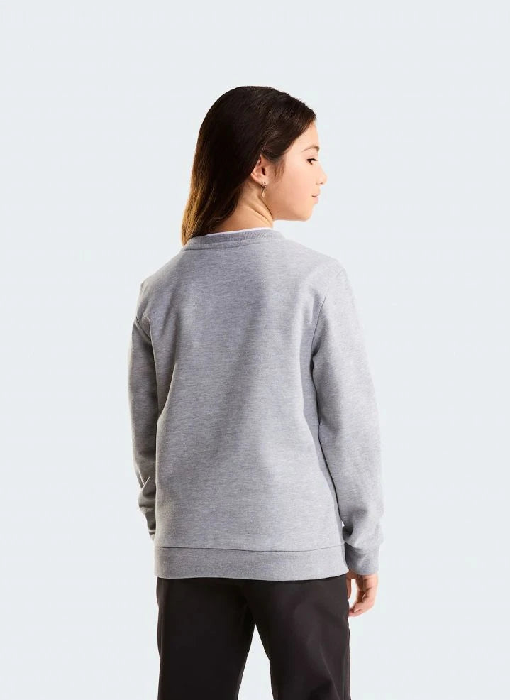 The North Face - Simple Done Sweatshirt | Gray Melange