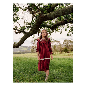 petite Amalie - Lace Ruffle Collar Dress | Cherry Red
