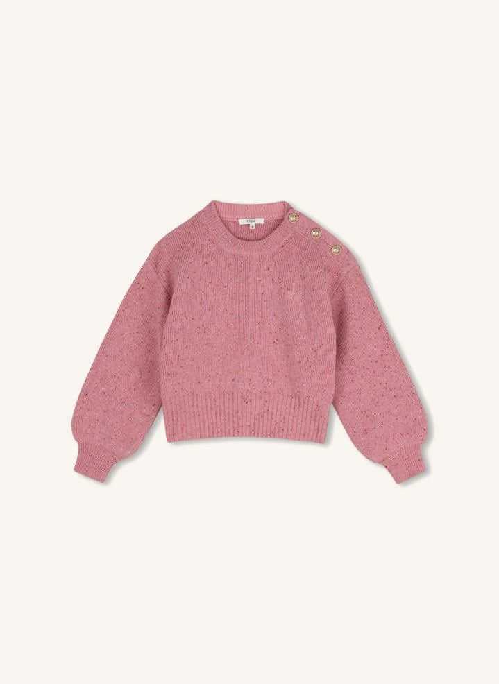 Chloé - Wool Buttoned Sweater | Dusty Pink