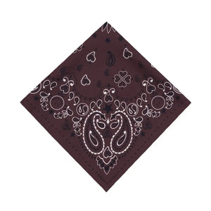 Call it by your name - Small Etoile Soie Bandana | Brown