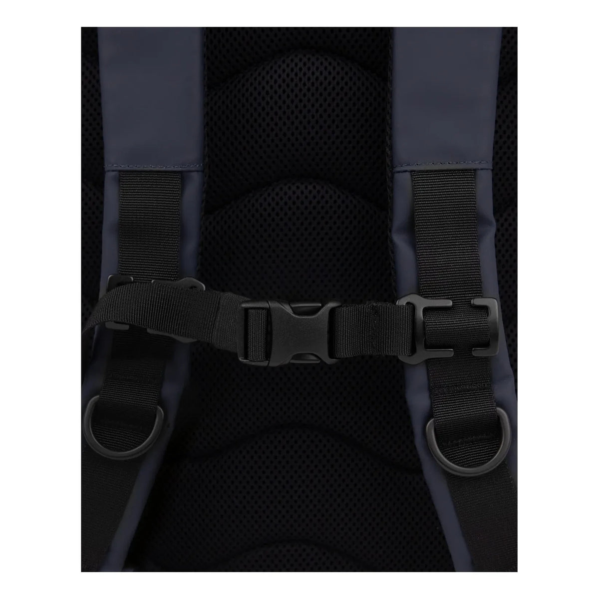 Sandqvist - Rolltop Backpack 16 | Navy