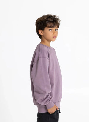 Smallable Kid - Arlo Organic Cotton Sweatshirt | Purple