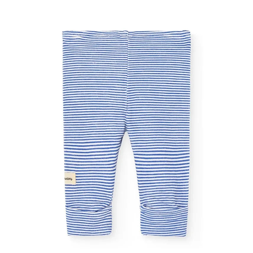 The Animals Observatory - Penguin Leggings | Blue
