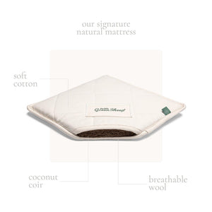 The Little Green Sheep Organic Wheat Knit Moses Basket + Mattress - Truffle-Moses Baskets- | Natural Baby Shower