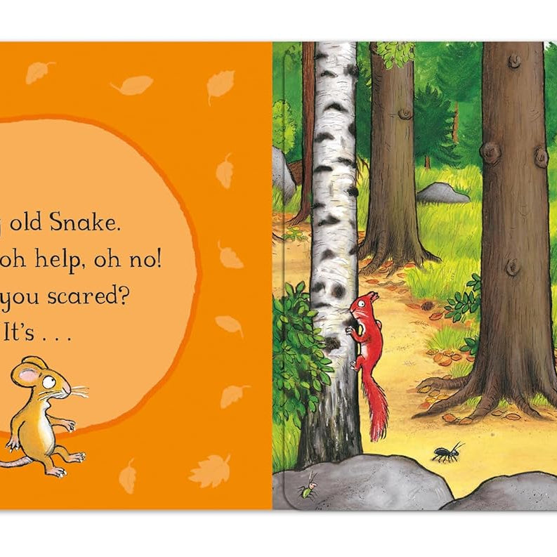 Pan Macmillan - Julia Donaldson and Axel Scheffler Gruffalo English Story Book