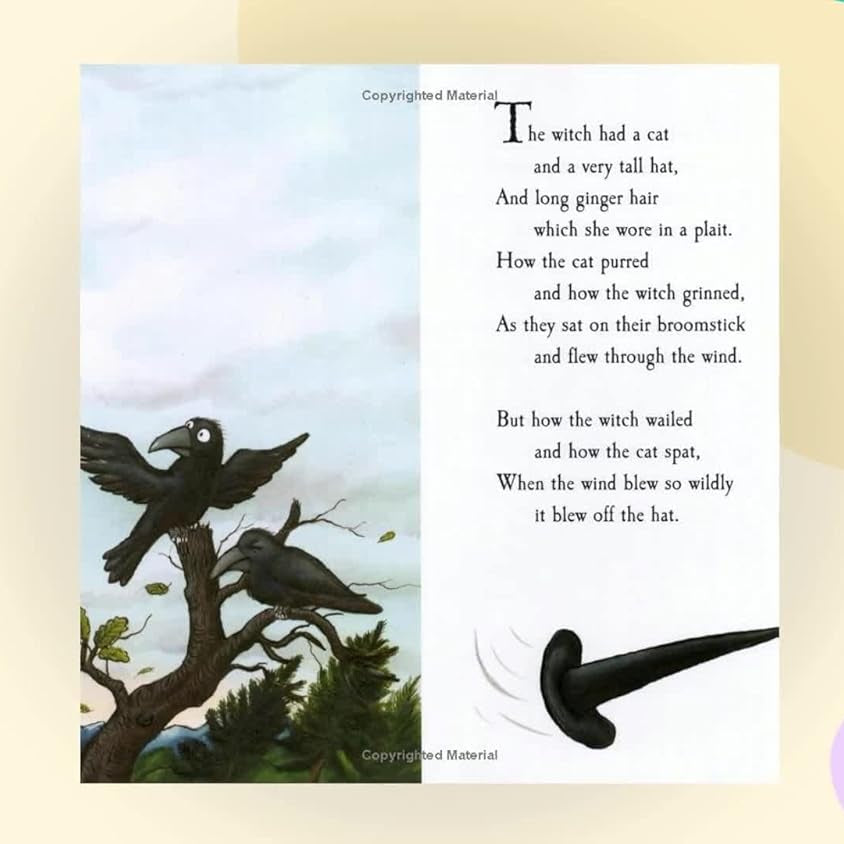 Pan Macmillan - Julia Donaldson and Axel Scheffler Room on the Broom English Story Book