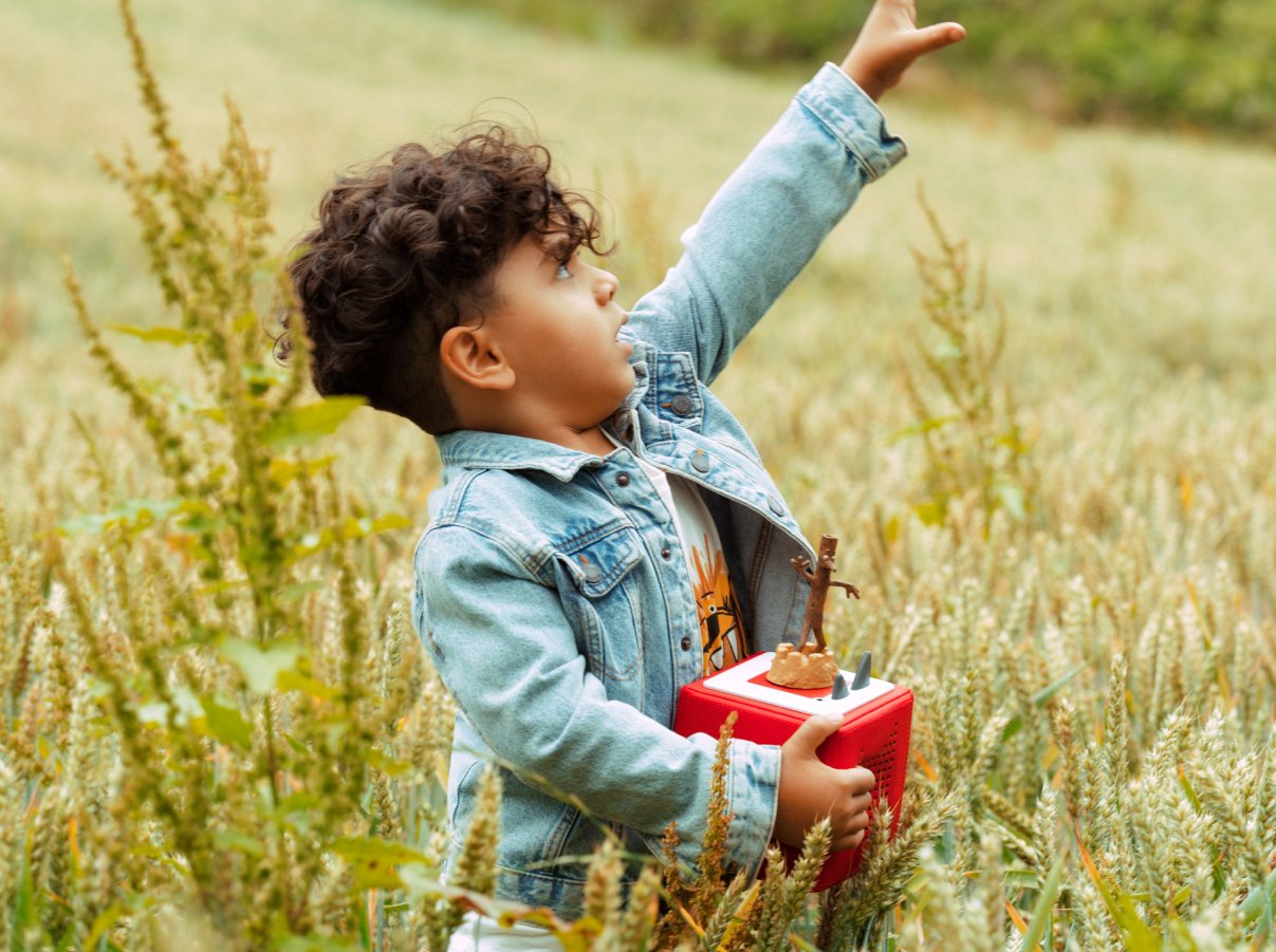 Tonies - Julia Donaldson Stick Man English Audio Figure