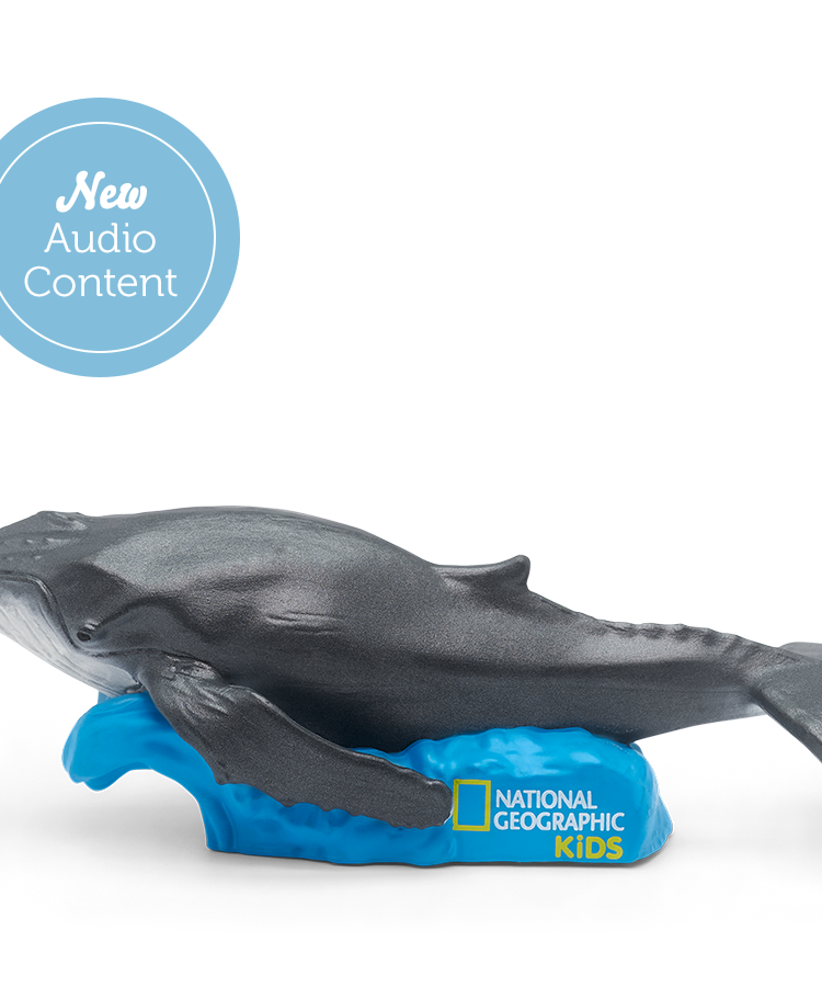 Tonies - Nat Geo Whale English Audio Figure
